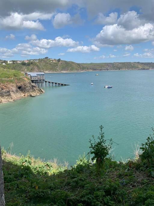 Lobster Cottage - Stylish 3 Bedroom Cottage In Heart Of Tenby Town, Pembrokeshire Exteriér fotografie